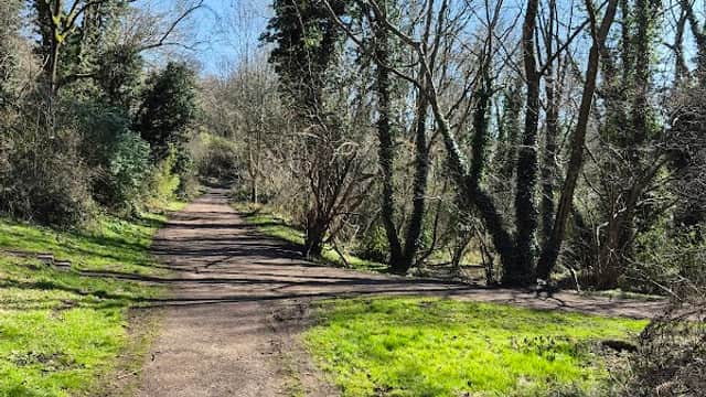 Cat Lane Wood - Park in heeley