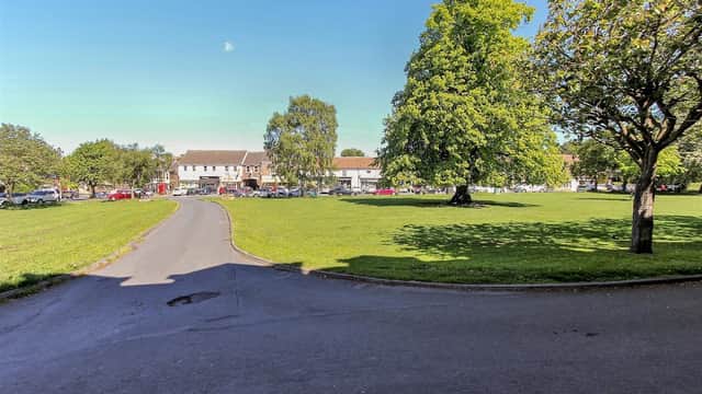 Lush green park with trees, a winding path, and buildings in the background under a clear blue sky.