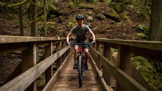 Dalby Forest Cycle Hub - Bike Hire in dalby forest