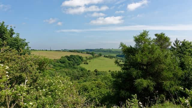 Lush green hills and fields under a blue sky with scattered clouds, framed by trees and shrubs in the foreground.