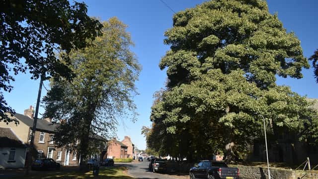 The Green - Park in northallerton