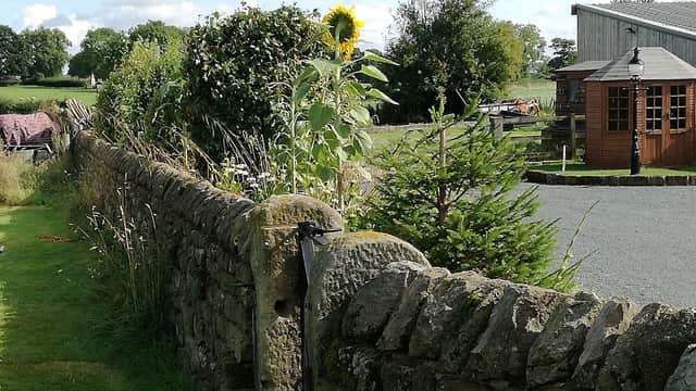 Stone wall lined with greenery and a sunflower, with a gravel area and wooden structure in the background.