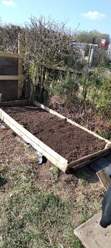 A wooden garden bed filled with dark soil, surrounded by greenery and a clear blue sky.