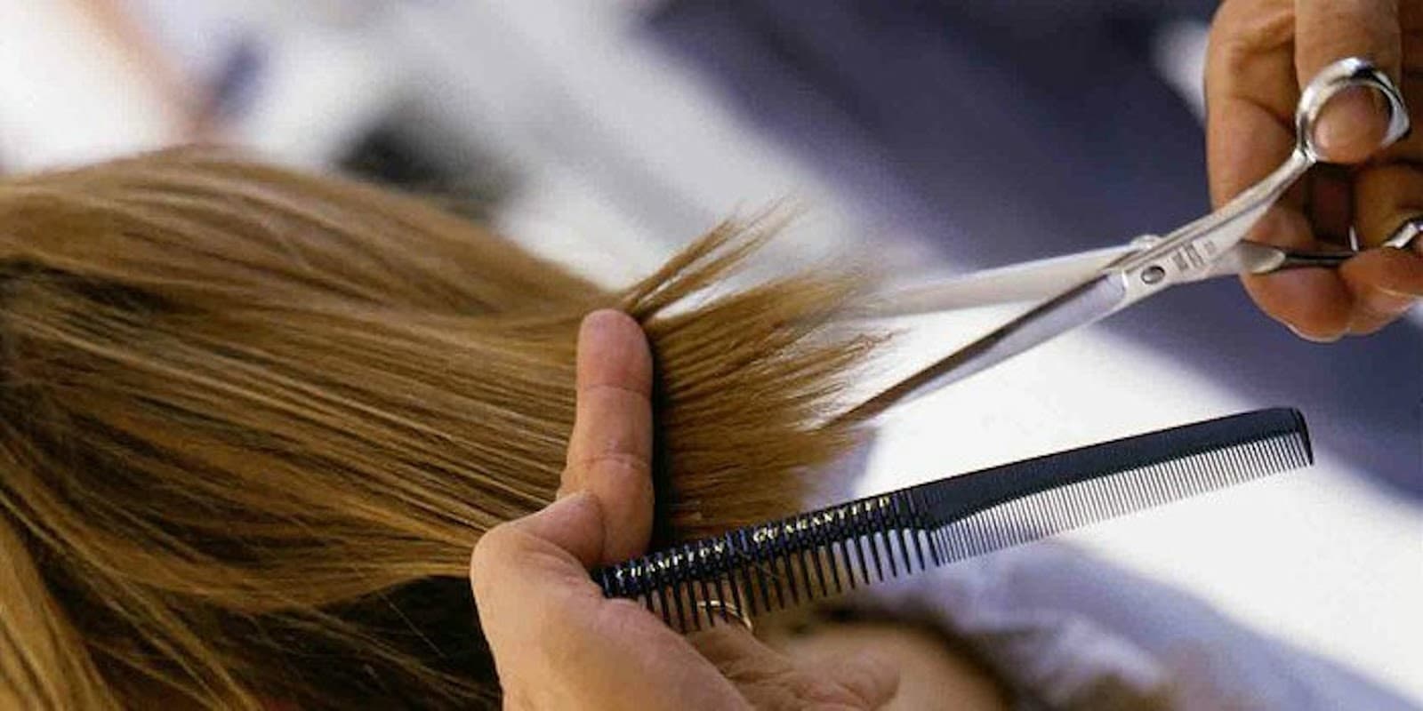 G Cutz Ltd