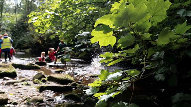The Ark Nursery and Space Out-of-school Club - Nurseries in hebden bridge