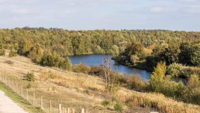 Lush green landscape with a winding river, surrounded by trees and a pathway lined with wooden fencing.
