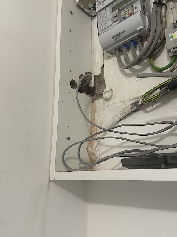 Kendra Electrical Services LTD