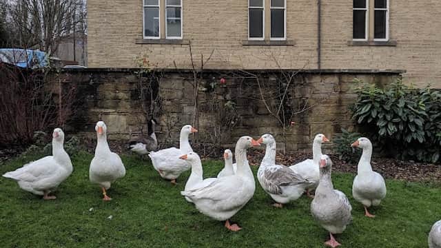 Sowerby Bridge Youth & Community Centre - Community Centres in sowerby bridge