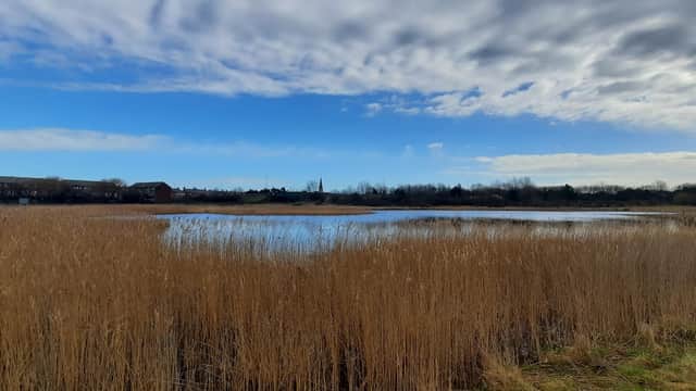 Coatham Marsh - Nature Reserves in redcar