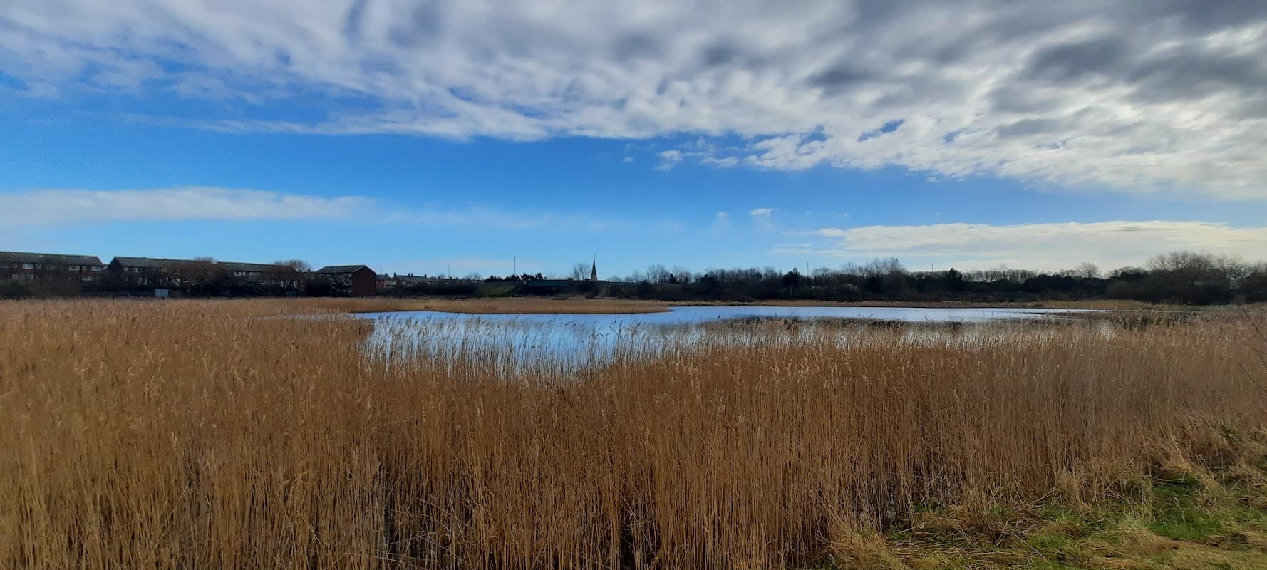 Coatham Marsh