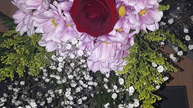 Lilly-Rose Florists - Florists in hull