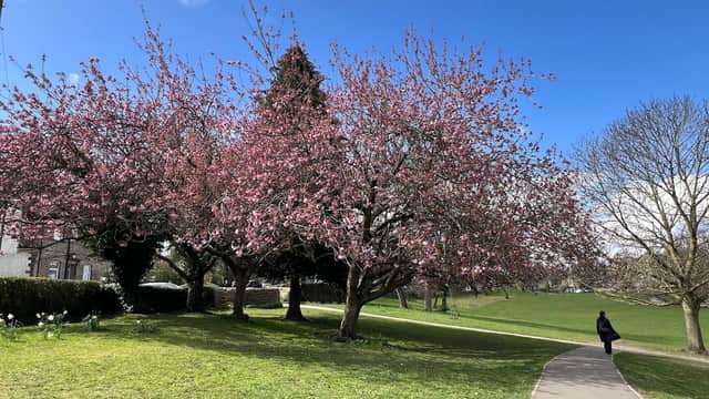 Ilkley Skatepark - Skate Parks in ilkley
