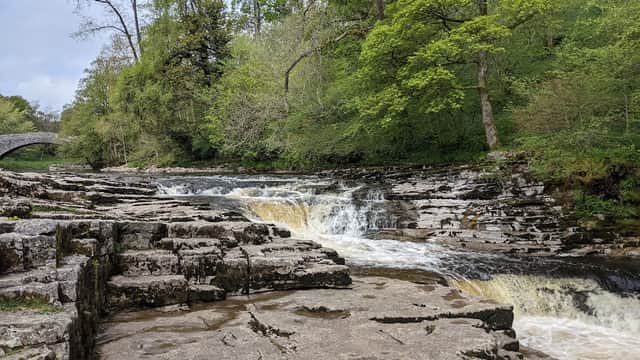 Rushing water cascades over rocky ledges, surrounded by lush greenery and trees, with a stone bridge in the background.