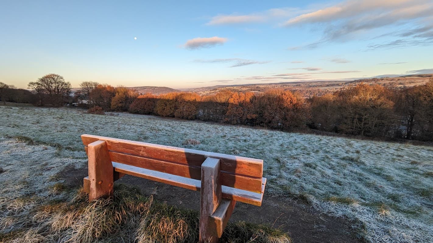 Bench of Dreams