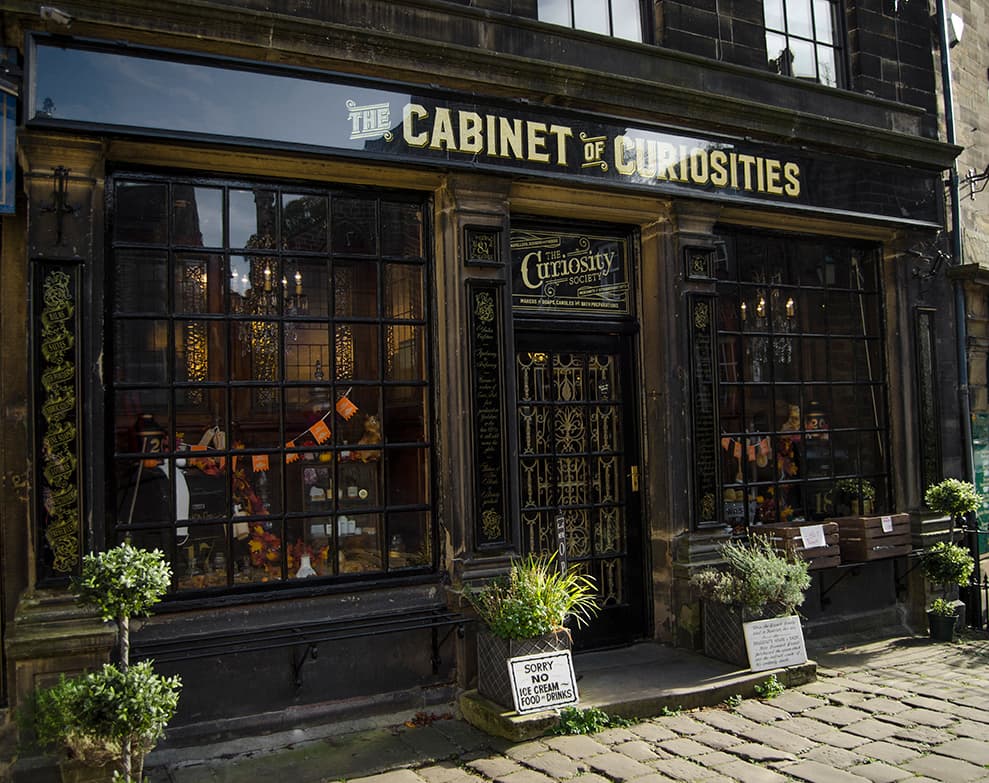 Cabinet Of Curiosities