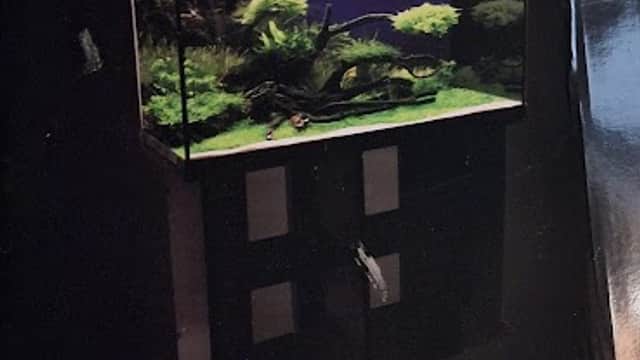 Aquarium set with stand displayed on a box, featuring lush aquatic plants and a dark background.