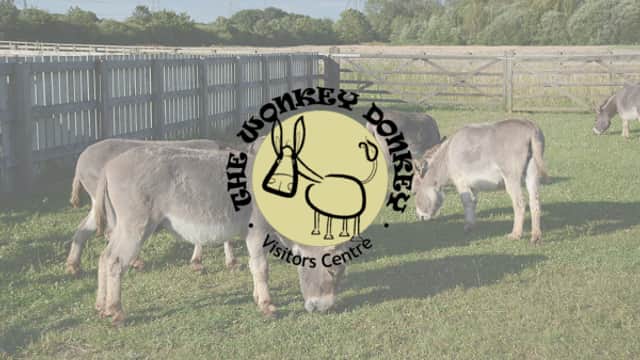 The Wonkey Donkey Visitor's Centre logo over donkeys grazing in a grassy field with wooden fencing.