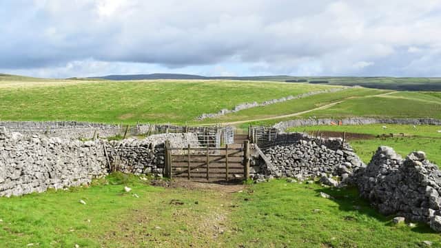Stone walls and a wooden gate lead into a lush green field under a cloudy sky near Conistone & Kilnsey Village Hall.