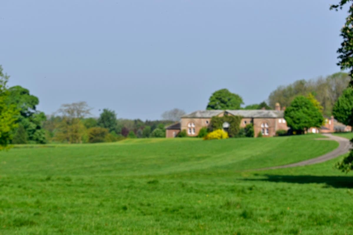 Lush green fields with a distant brick building and trees under a clear blue sky in Thornton-le-Moor, Yorkshire.
