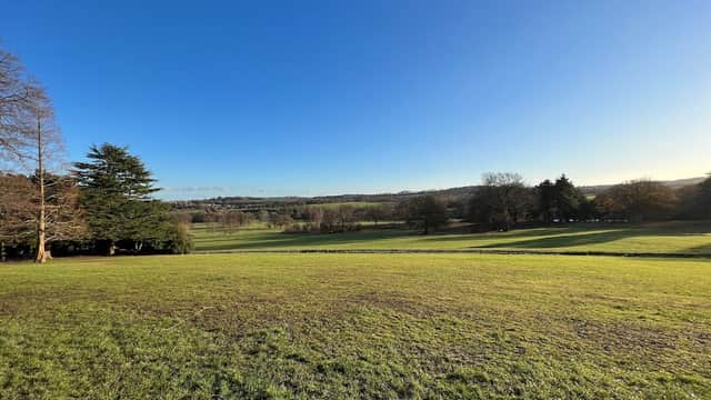 Expansive green field with trees under a clear blue sky at Cannon Hall Country Park.