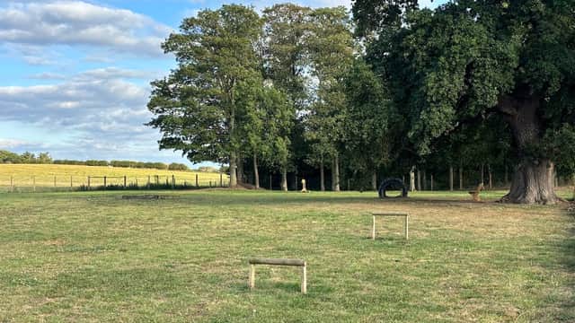 Expansive grassy area with trees, a tire obstacle, and wooden jumps under a blue sky with scattered clouds.