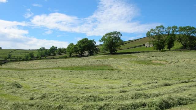 Lush green fields with freshly cut hay, rolling hills, and a bright blue sky in Appletreewick, Yorkshire.