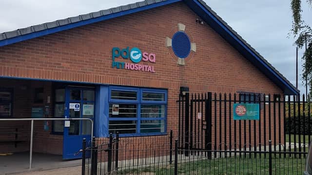 Middlesbrough PDSA Pet Hospital - Vets in middlesbrough