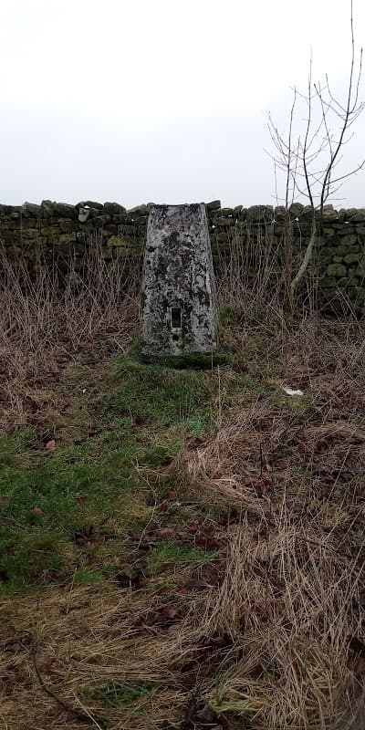 Ling Park Trig point