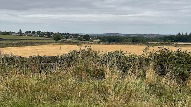 Rolling fields with golden crops, stone walls, and overcast skies in Upper Cumberworth, Yorkshire.