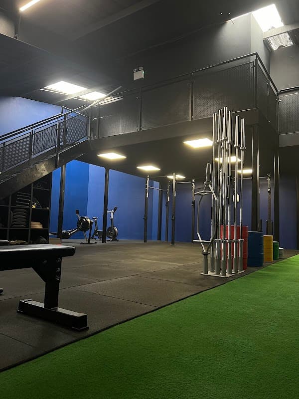 The Wellness Hub