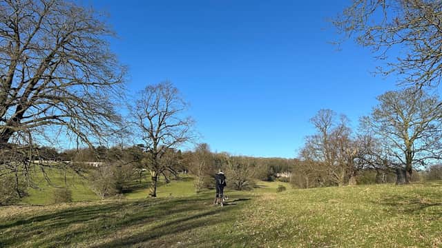 A person walks along a grassy path lined with trees under a clear blue sky at Londesborough Hall.