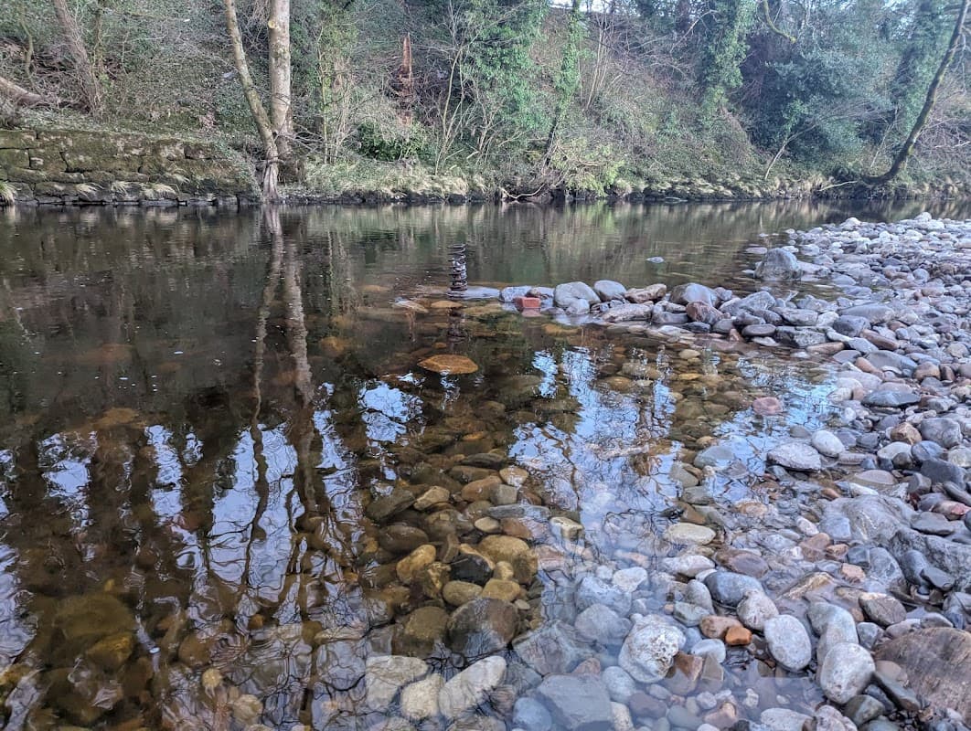 Settle Spring Bridge (SSB)