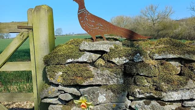 A metal pheasant sculpture on a stone wall, surrounded by daffodils and a clear blue sky in Snainton, Yorkshire.