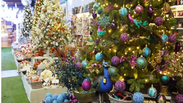 Ackworth Garden Centre - Park in pontefract