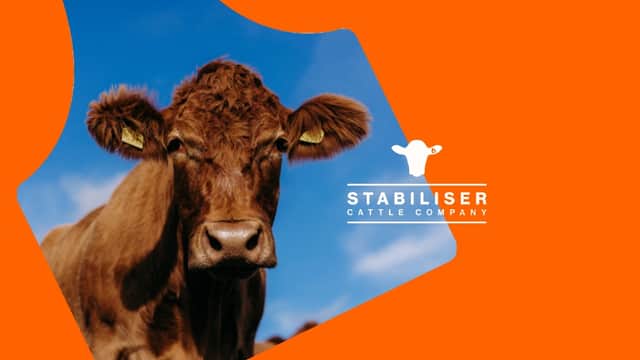 Stabiliser Cattle Company - Farm Shop in southburn