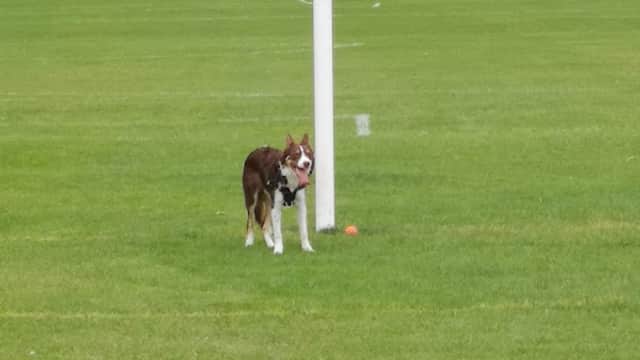King George V Playing Field - Park in hessle