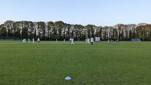 Cricket match in progress on a lush green field surrounded by trees under a clear blue sky.