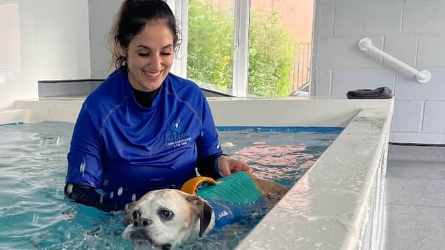 Aquapaws Sheffield Canine Hydrotherapy - Vets in heeley