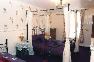 Sunflower Lodge