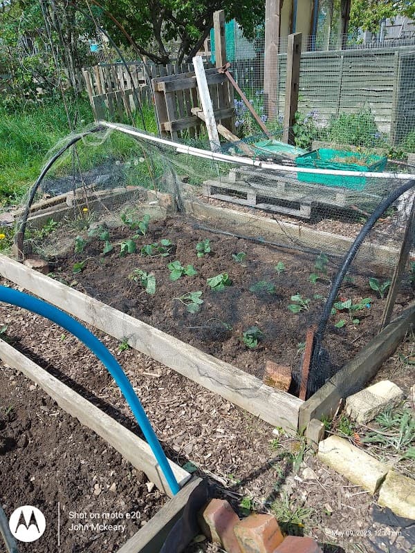 Park Square Allotments