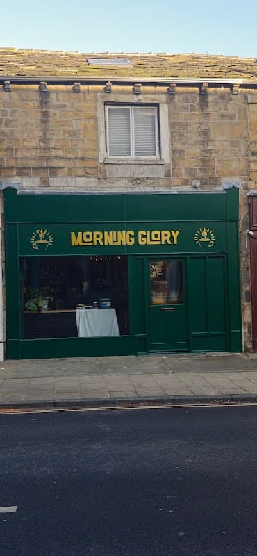 Morning Glory