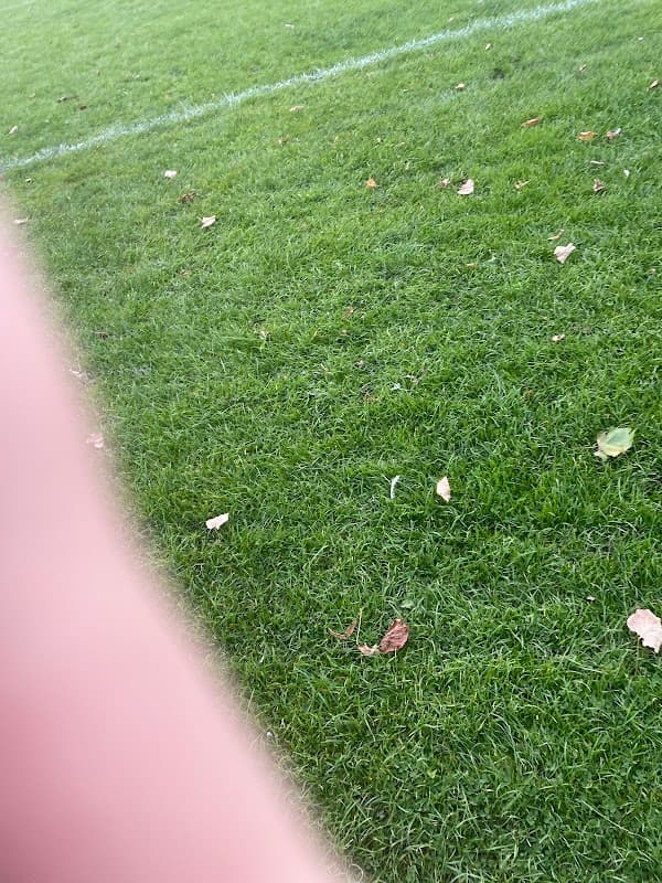 Hartley's Field