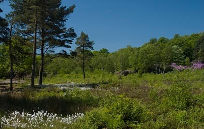 Roberts Park