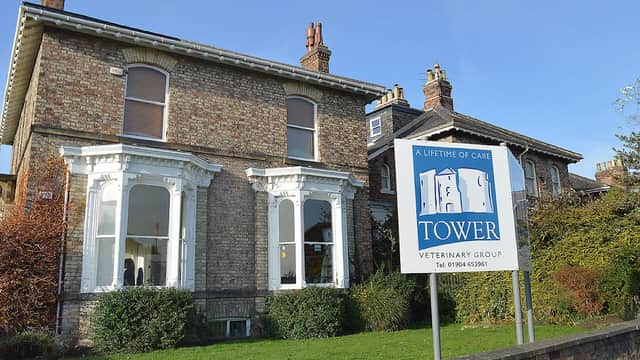 Brick building with large windows and a sign for Tower Veterinary Group. Lush greenery surrounds the entrance.