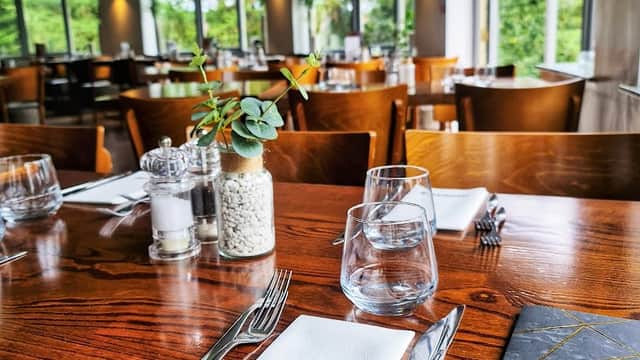 Elegant dining setup at Burro Restaurant, featuring wooden tables, glassware, and a view of greenery through large windows.