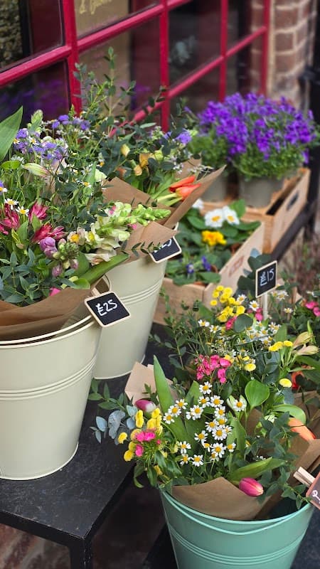 Roots & Bloom CIC - Flower Farm