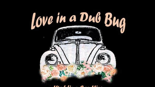 Love in a classic vw wedding car hire - Car Hire in knaresborough