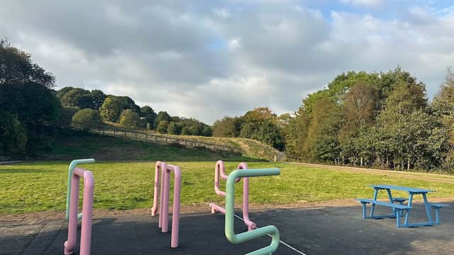 Colorful playground structures and a picnic table set against a grassy area and trees under a cloudy sky.