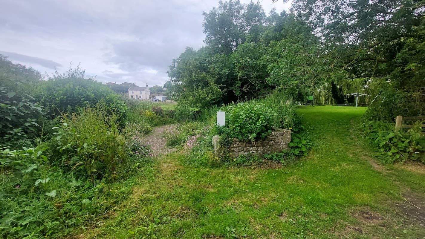 Overgrown path leading to a grassy area, with trees and a glimpse of buildings in the background.