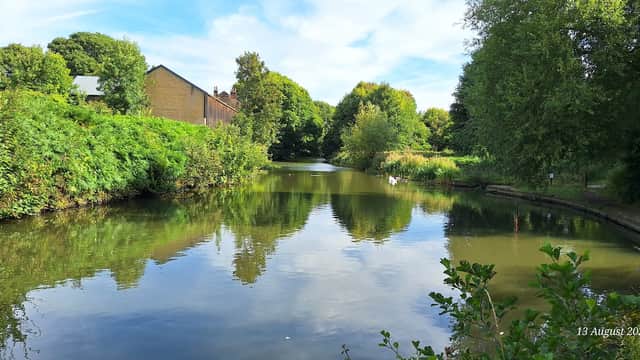 Serene canal scene with lush greenery, reflections on water, and a clear sky in Elsecar, Yorkshire.